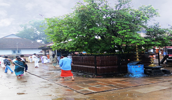 Chottanikkara Temple