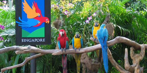 Jurong Bird Park